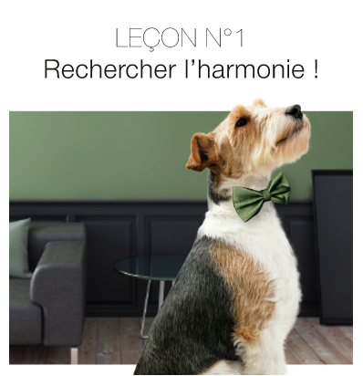 Leçon 1